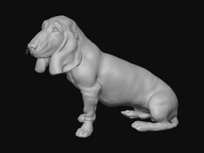 3D model for Basset's Gaze
