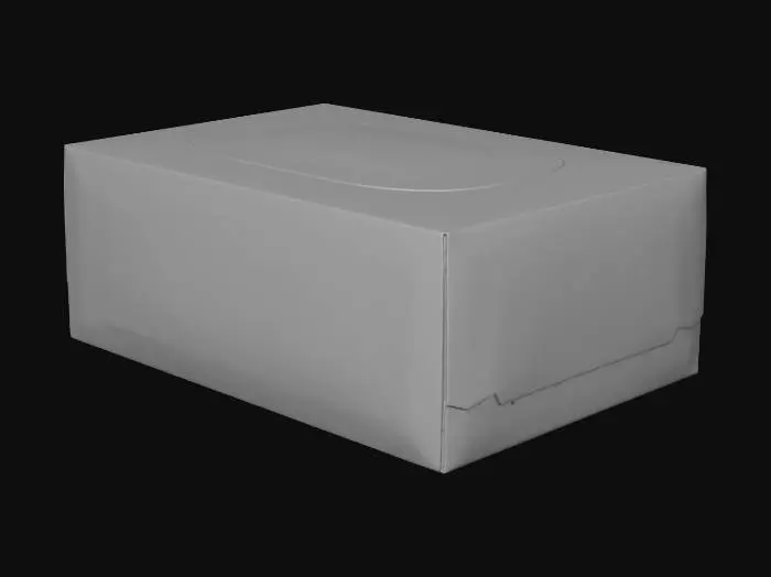 3D model for Red and White Box