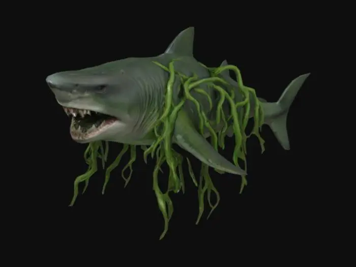 3D model for Seaweed Predator
