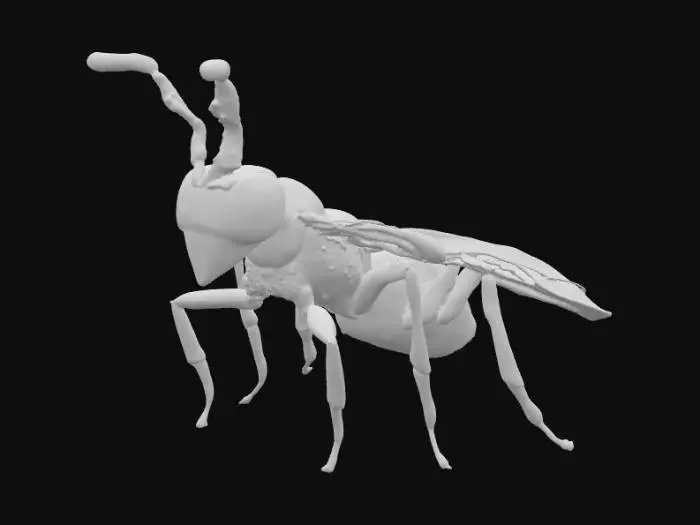 3D model for Wasp Illustration