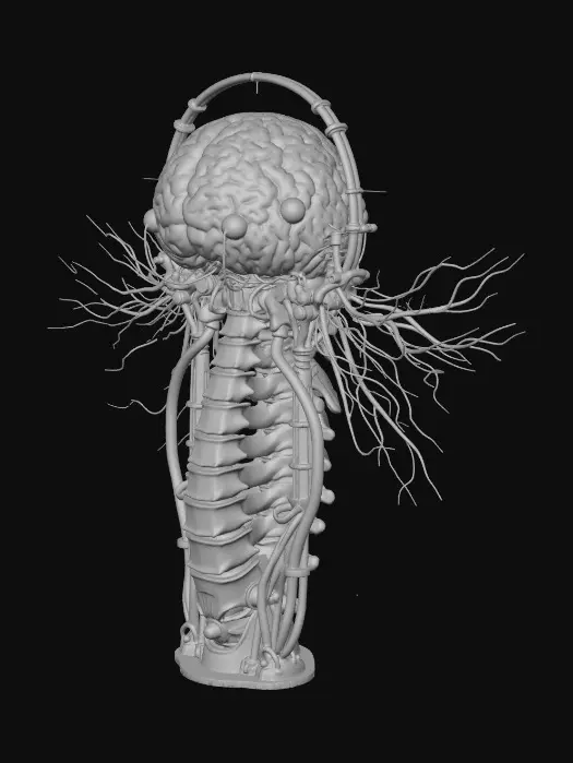 3D model for Noble Consciousness Core