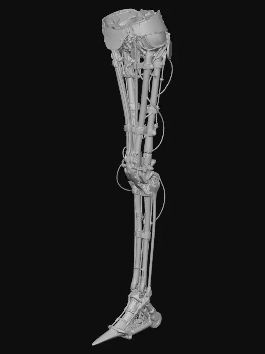 3D model for Clockwork Leg