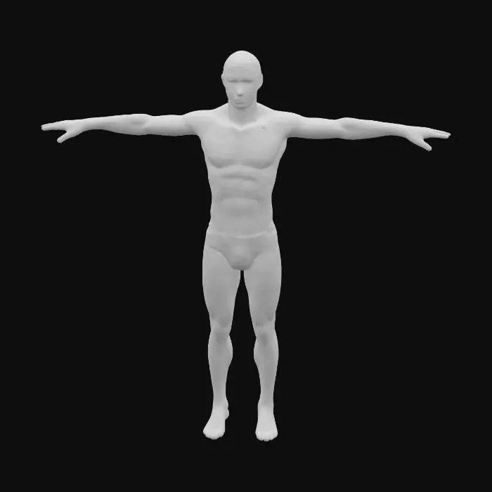 3D model for T-Pose Model