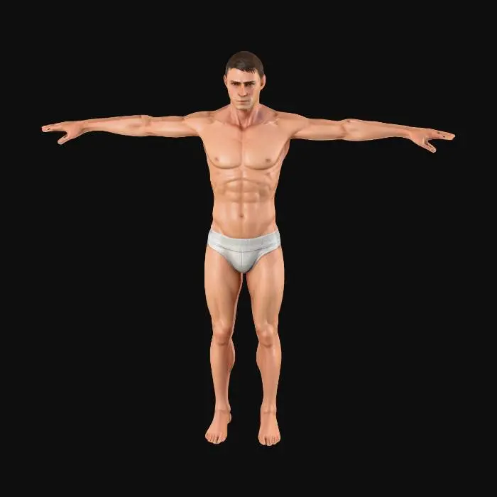 3D model for T-Pose Model
