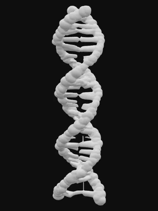 3D model for molecola dna 3D