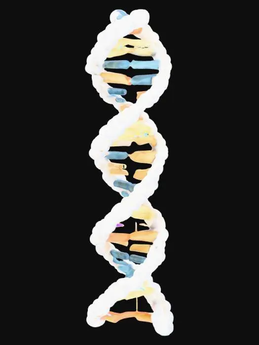 3D model for molecola dna 3D