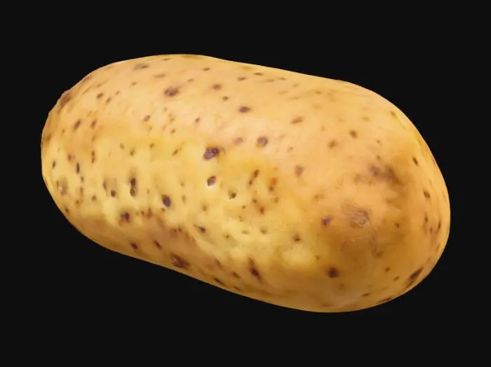 3D model for Potato