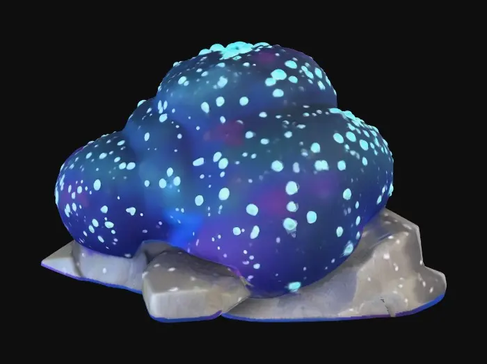 3D model for Starry Boulders