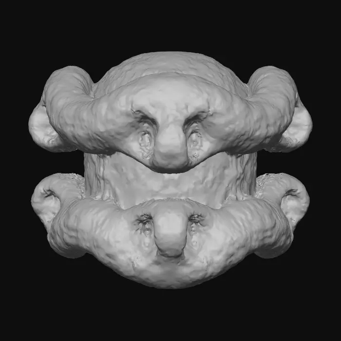 3D model for I need you to create a 3D model for a chylomicron. Use whatever information about 3D structure of chylomicron from articles and create one