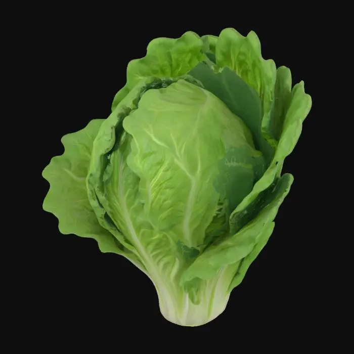 3D model for Green Harmony