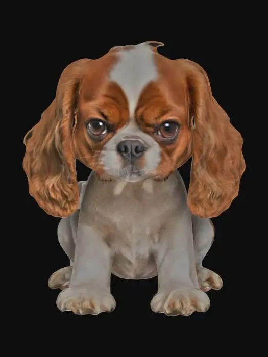 3D model for cavalier dog sitting