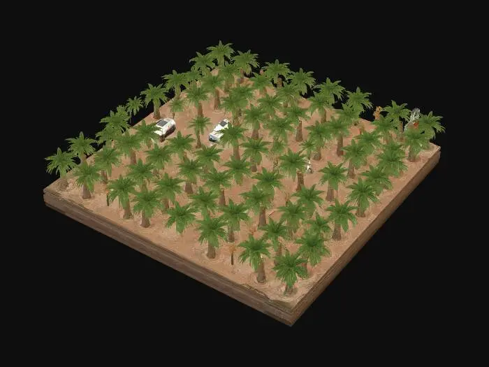 3D model for Precision Palm Orchard