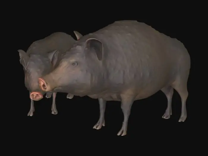 3D model for Domuz 1