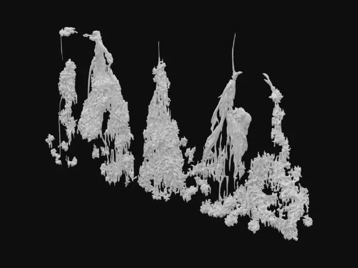 3D model for Herbal Harmony