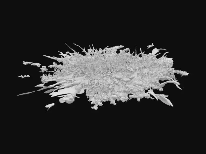 3D model for Herbal Circle