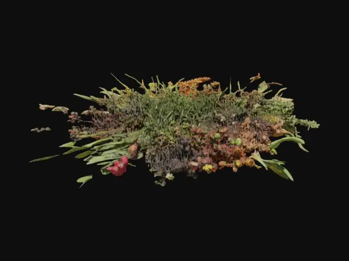 3D model for Herbal Circle