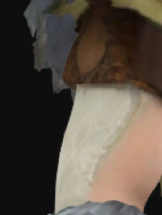 3D model for Warrior of the Wilds