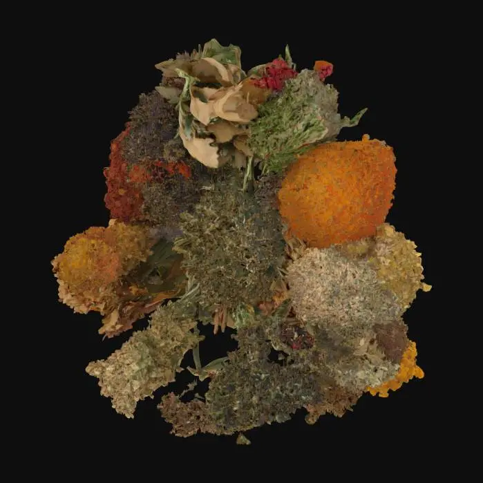 3D model for Herbal Circle