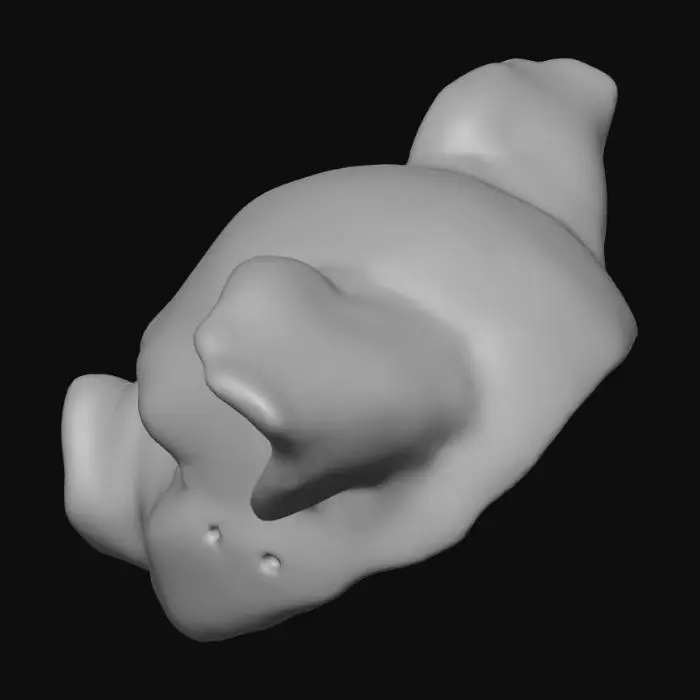 3D model for Pig Mask