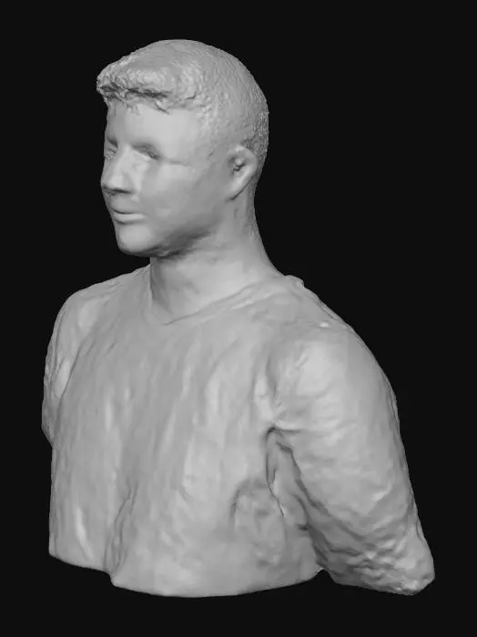 3D model for Portrait in Black Shirt