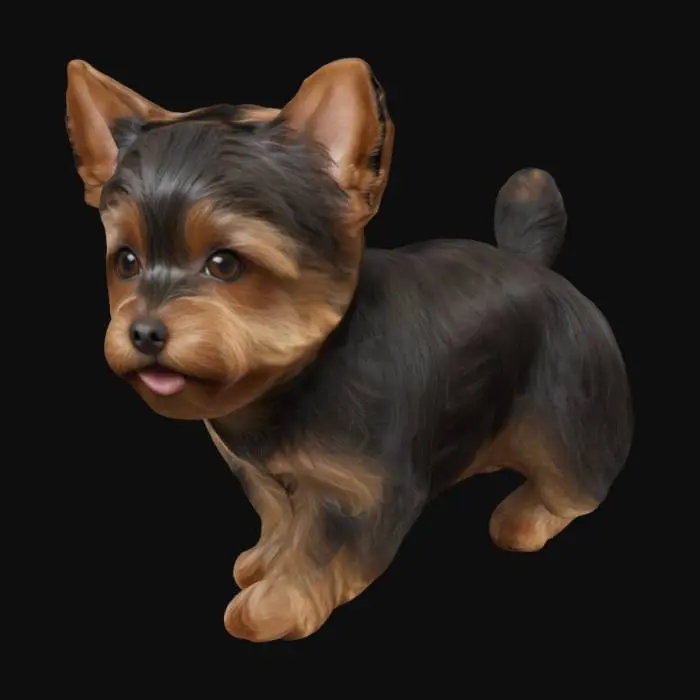 3D model for little yorkshire terrier in real version, Balck and Brown hair with detail textures.