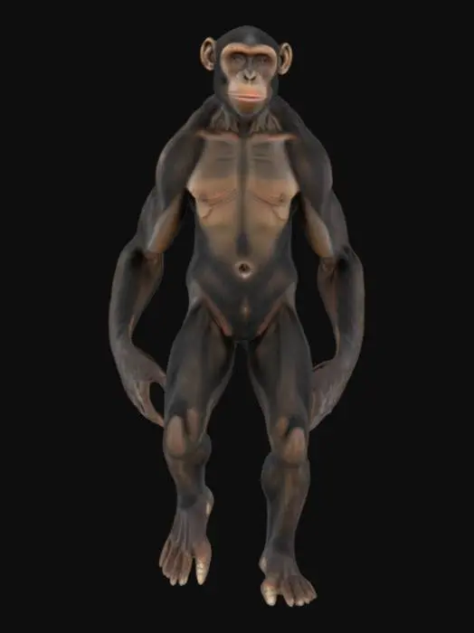 3D model for an A posed model of a hyper realistc austhralopitecus with muscular and monkey like body and proportions, hands and feet in neutral A pose and fingers spread out, very realistic face with neutral expression