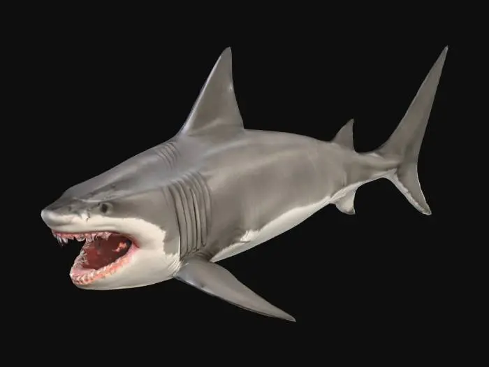 3D model for Jaws Unleashed