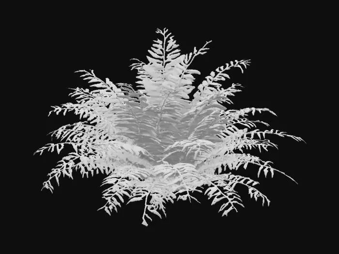 3D model for Big tropical jungle fern plant