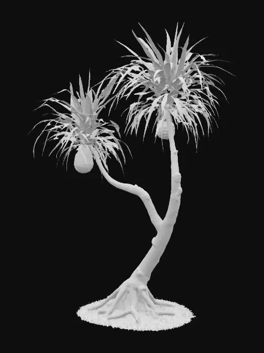 3D model for Small hawaiian hala tree with hala fruits