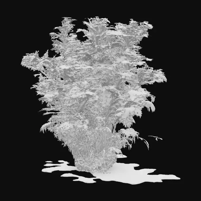 3D model for Lush Fern Bush