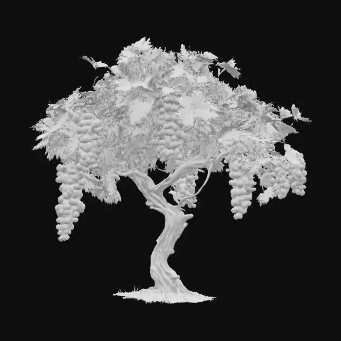 3D model for Grape Harmony