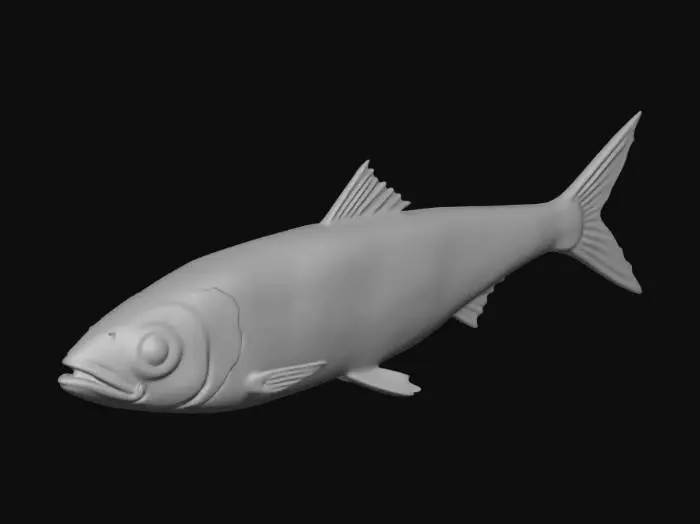 3D model for Fish