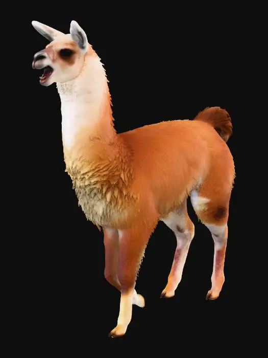3D model for Chatty Llama