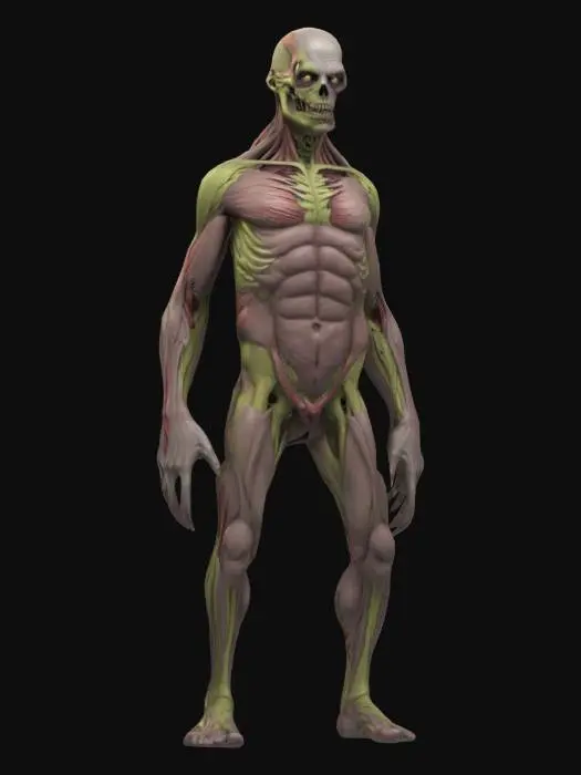 3D model for Zombie Nightmare Shadow Lurker Human Anatomy Muscle System