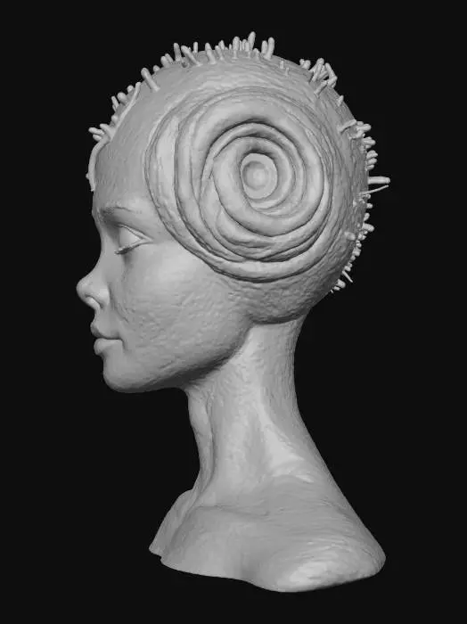 3D model for Cerebral Nexus