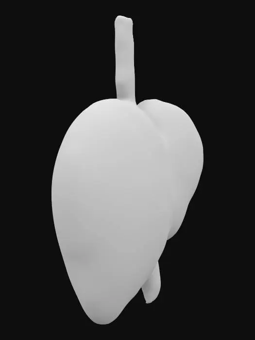 3D model for Design a human liver with its anatomical details. The object should incorporate high levels of polygon LOD.