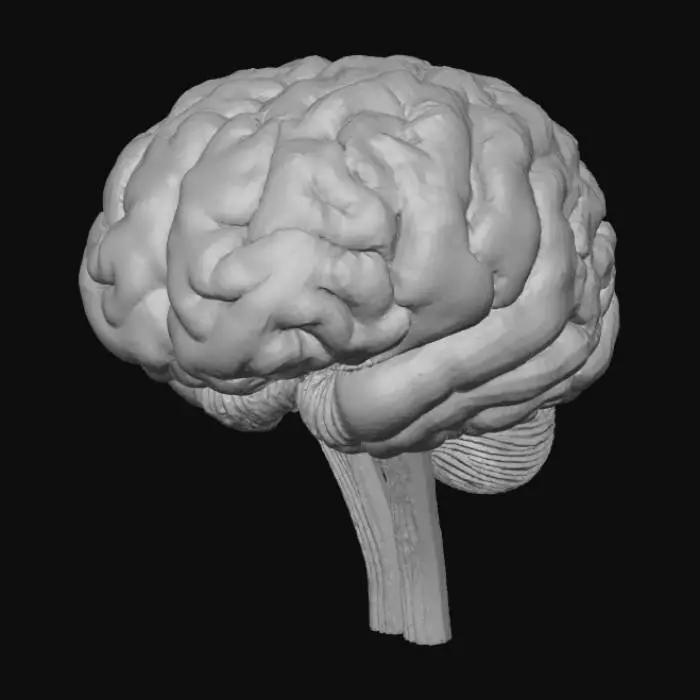 3D model for Cerveau stylisé en 3D avec circuits lumineux en rouge, symbolisant l’intelligence artificielle.