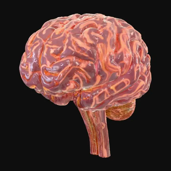 3D model for Cerveau stylisé en 3D avec circuits lumineux en rouge, symbolisant l’intelligence artificielle.