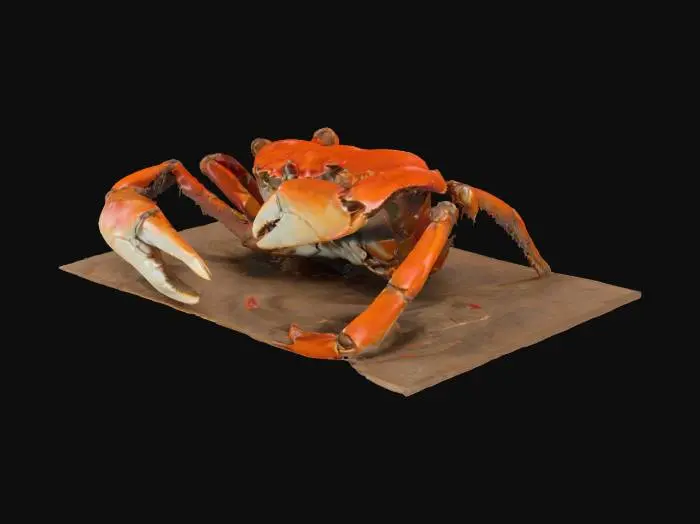 3D model for ES PARADAISE Brazil #AroundTheWorld#