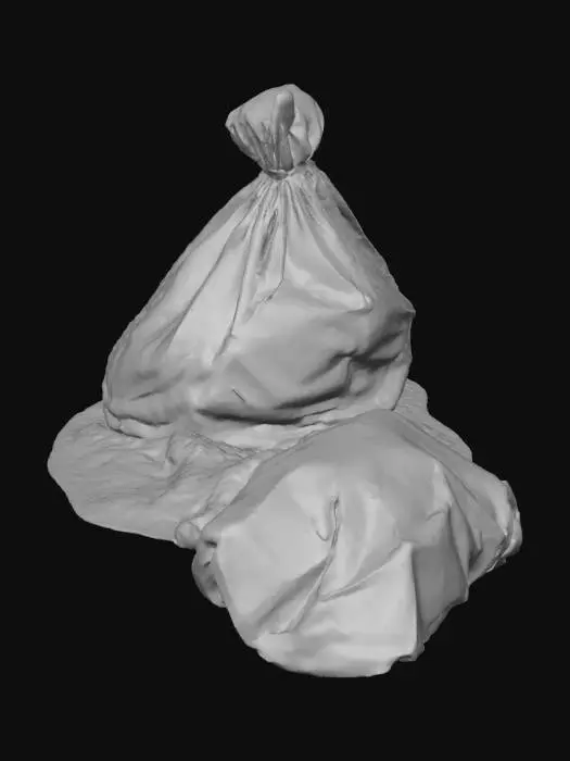 3D model for Winter Trash Bags