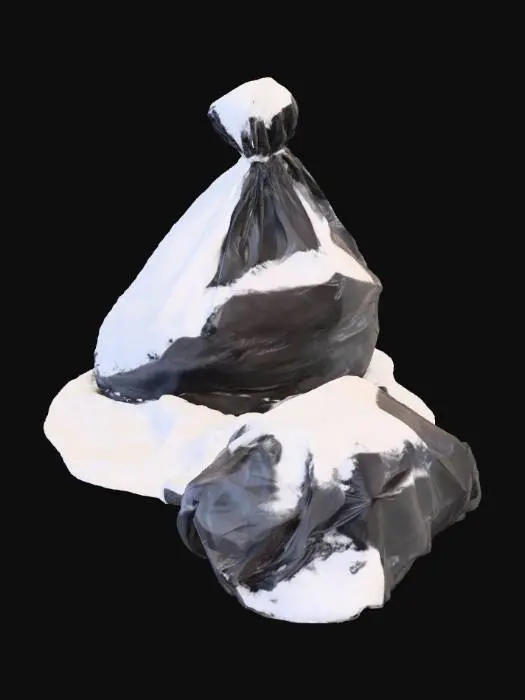 3D model for Winter Trash Bags