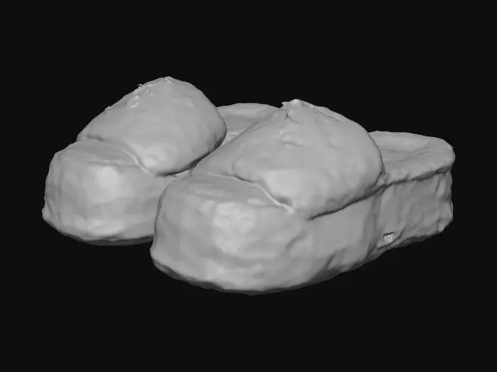 3D model for Leopard Print Fuzzy Slippers