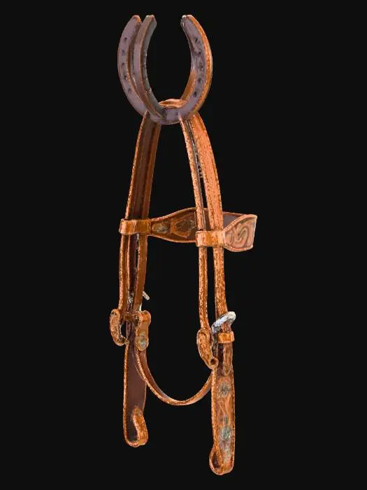 3D model for Western Gear Display