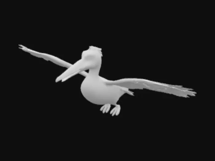 3D model for Animated flying Pelican