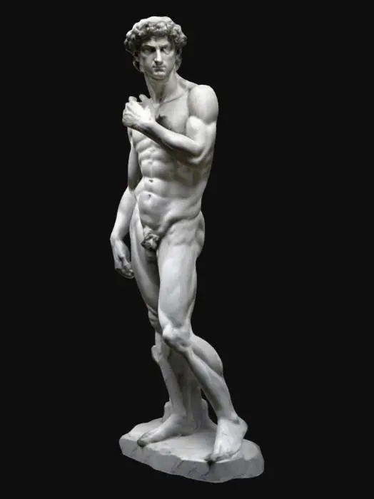 3D model for a 3d hyper-realistic Michelangelo David statue rough carved from granite 