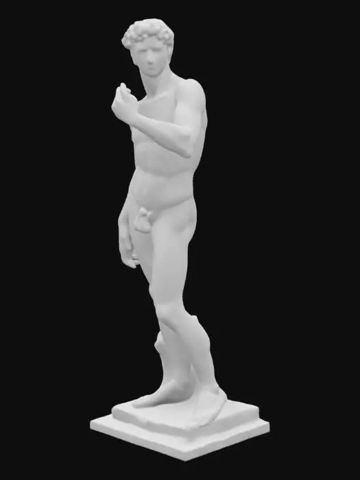 3D model for a 3d hyper-realistic Michelangelo David statue rough carved from granite 
