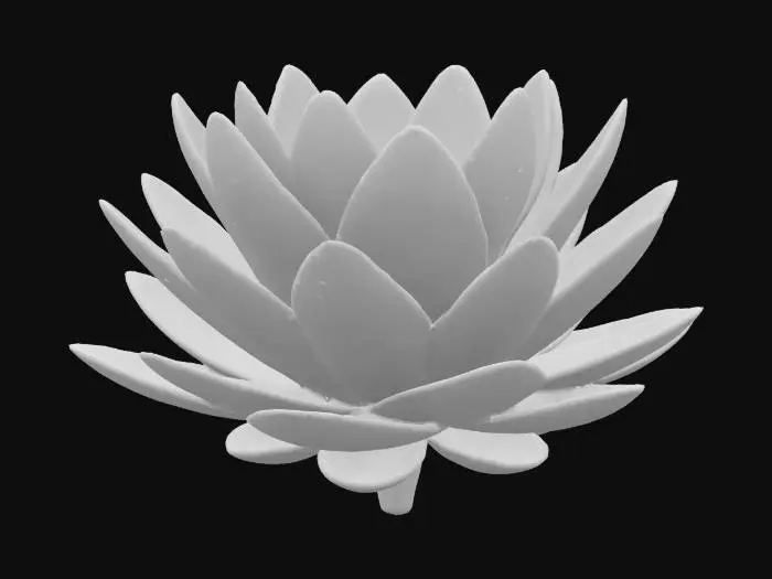 3D model for lotus flower, well detailed