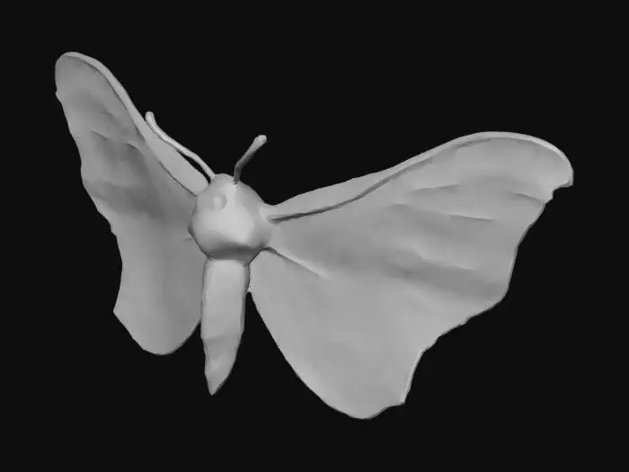 3D model for polilla