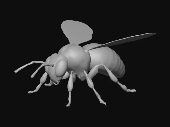 3D model for bee