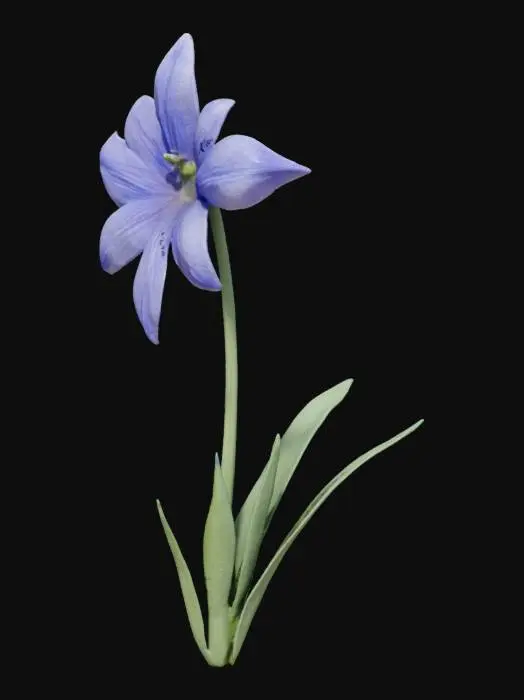 3D model for texas bluebell, flower, with tall stem well detailed